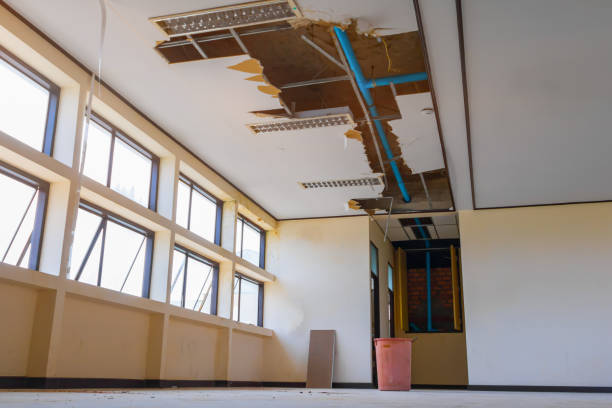 Best Residential water damage restoration  in Tton, IL