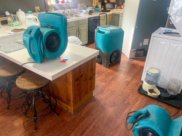  Tton, IL Water damage restoration Pros