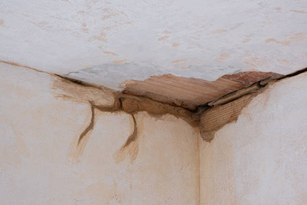 Best Basement water damage restoration  in Tton, IL