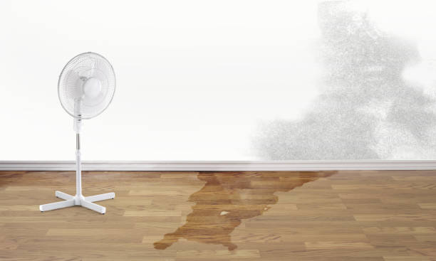 Trusted Tilton, IL Water damage restoration Experts