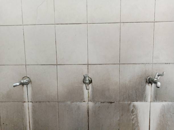 Best Commercial water damage restoration  in Tton, IL