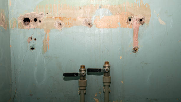 Best 24/7 water damage repair  in Tton, IL