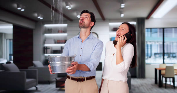 Reliable Tilton, IL Water damage restoration Solutions